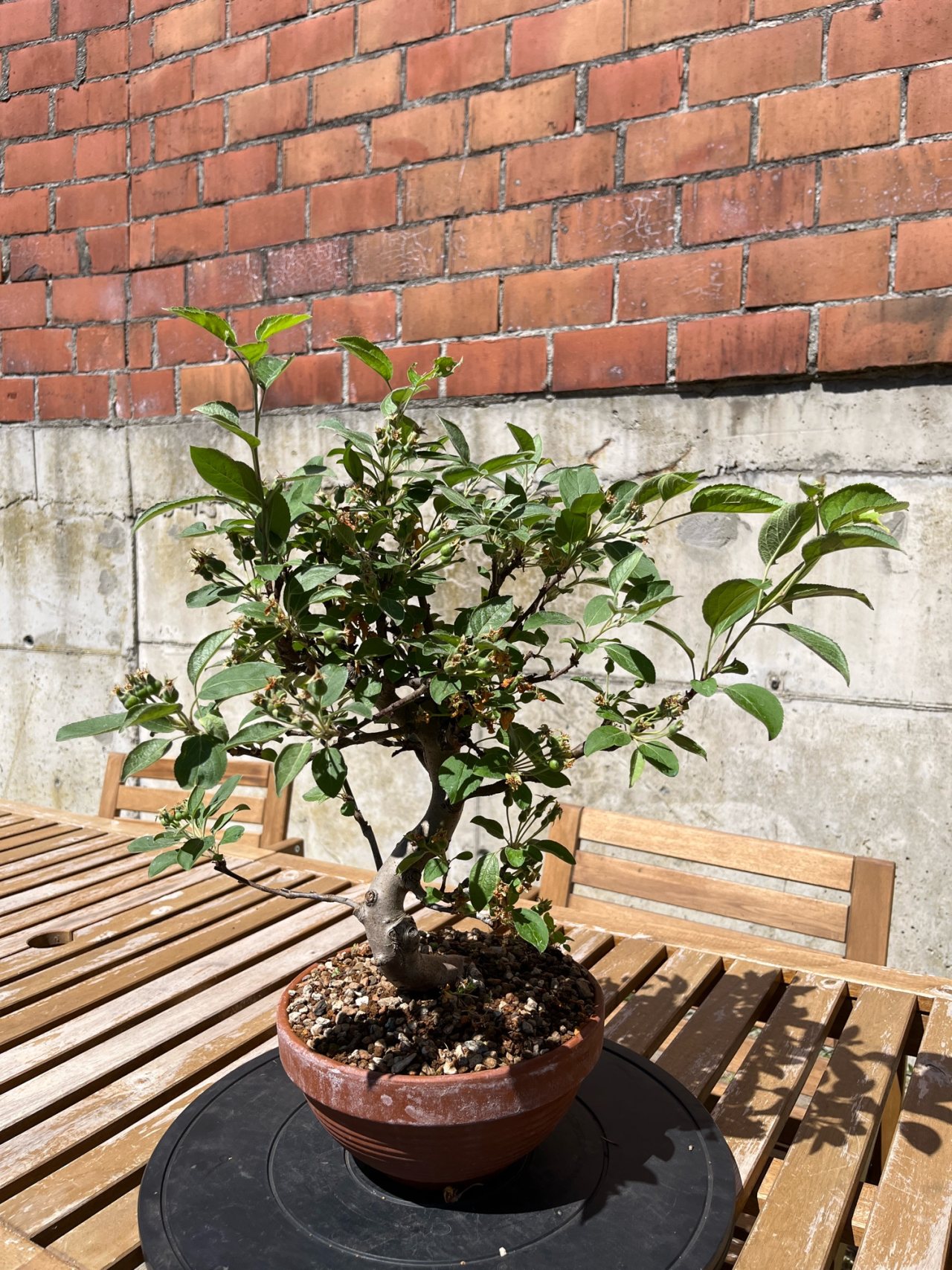 Photo 6