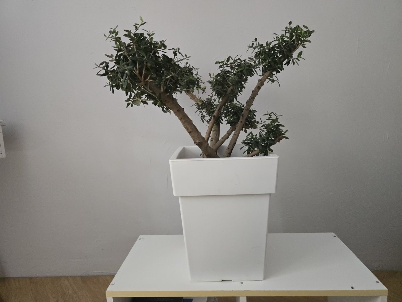 Photo 3