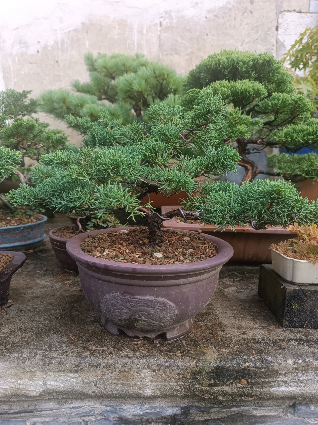 Photo 6