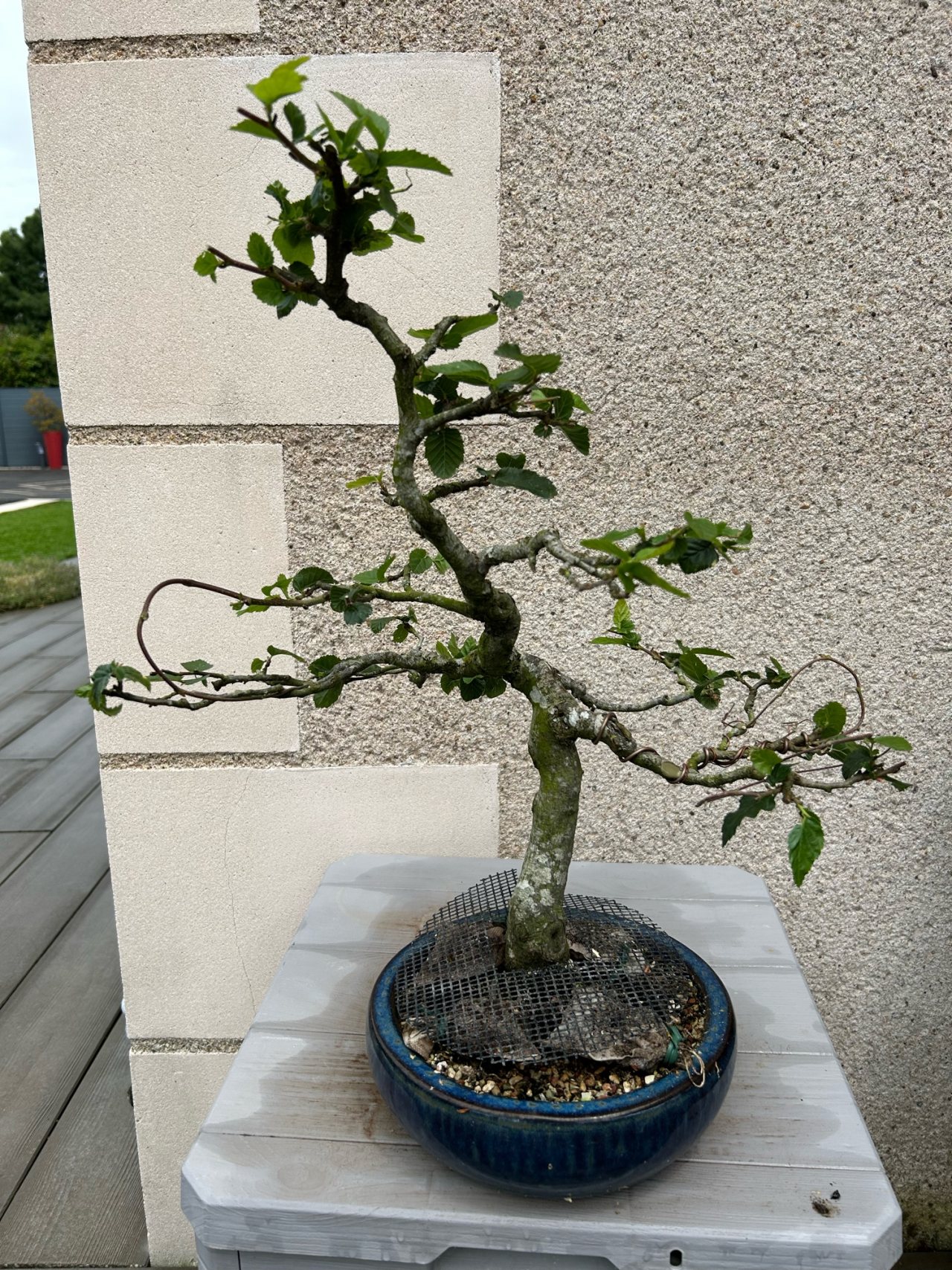 Photo 6