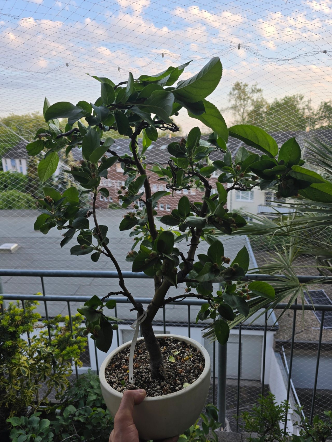 Photo 17