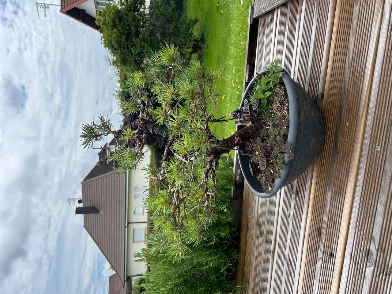 Photo 4