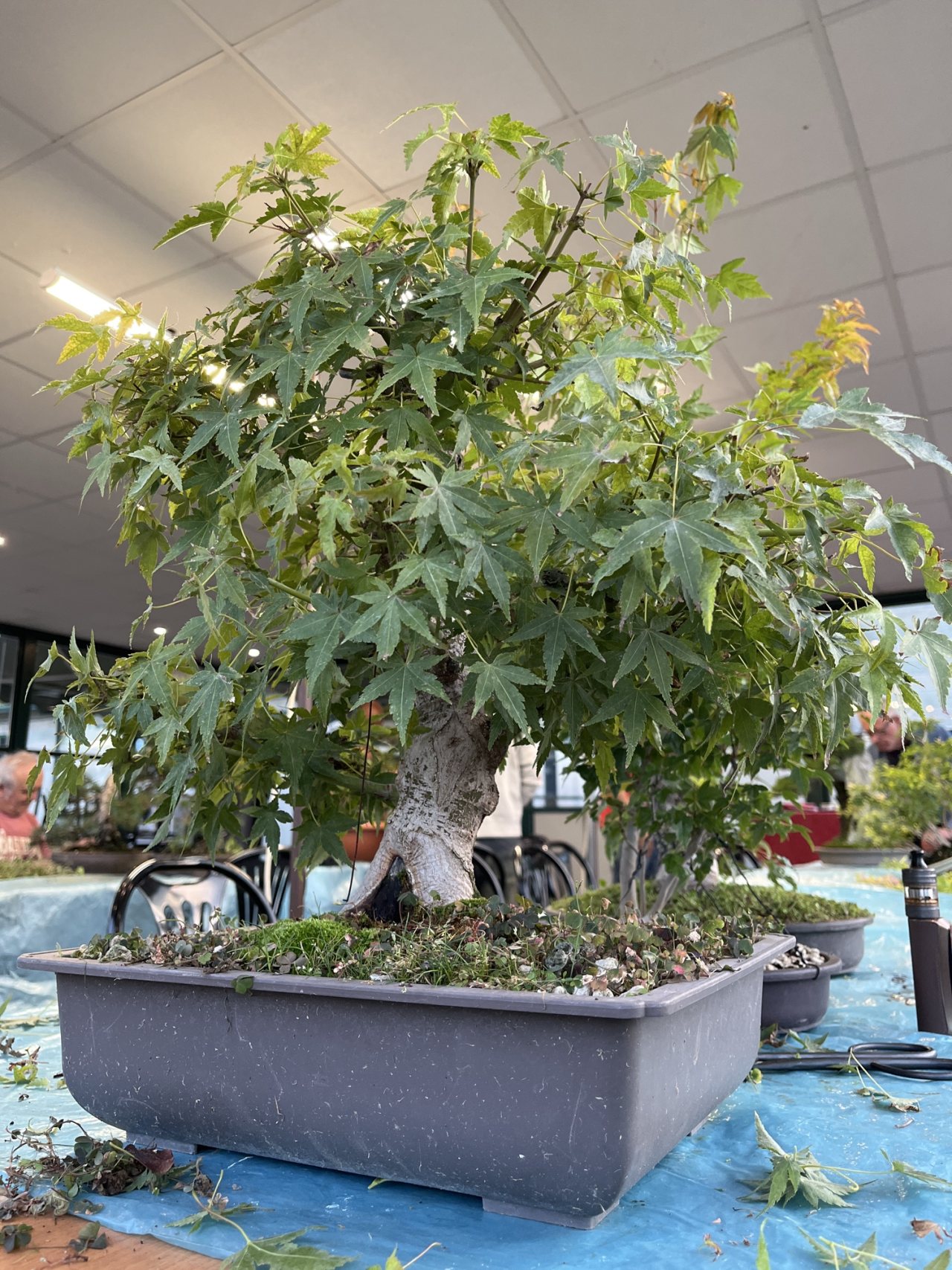 Photo 21