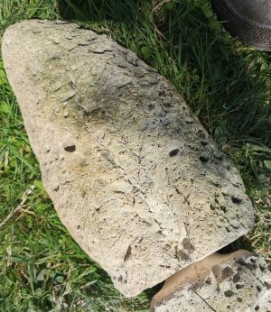 Roche