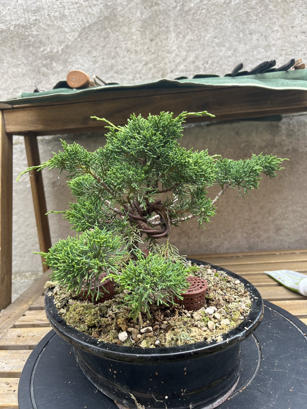 Photo 19