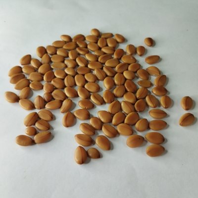 Кассия трубчатая семена
