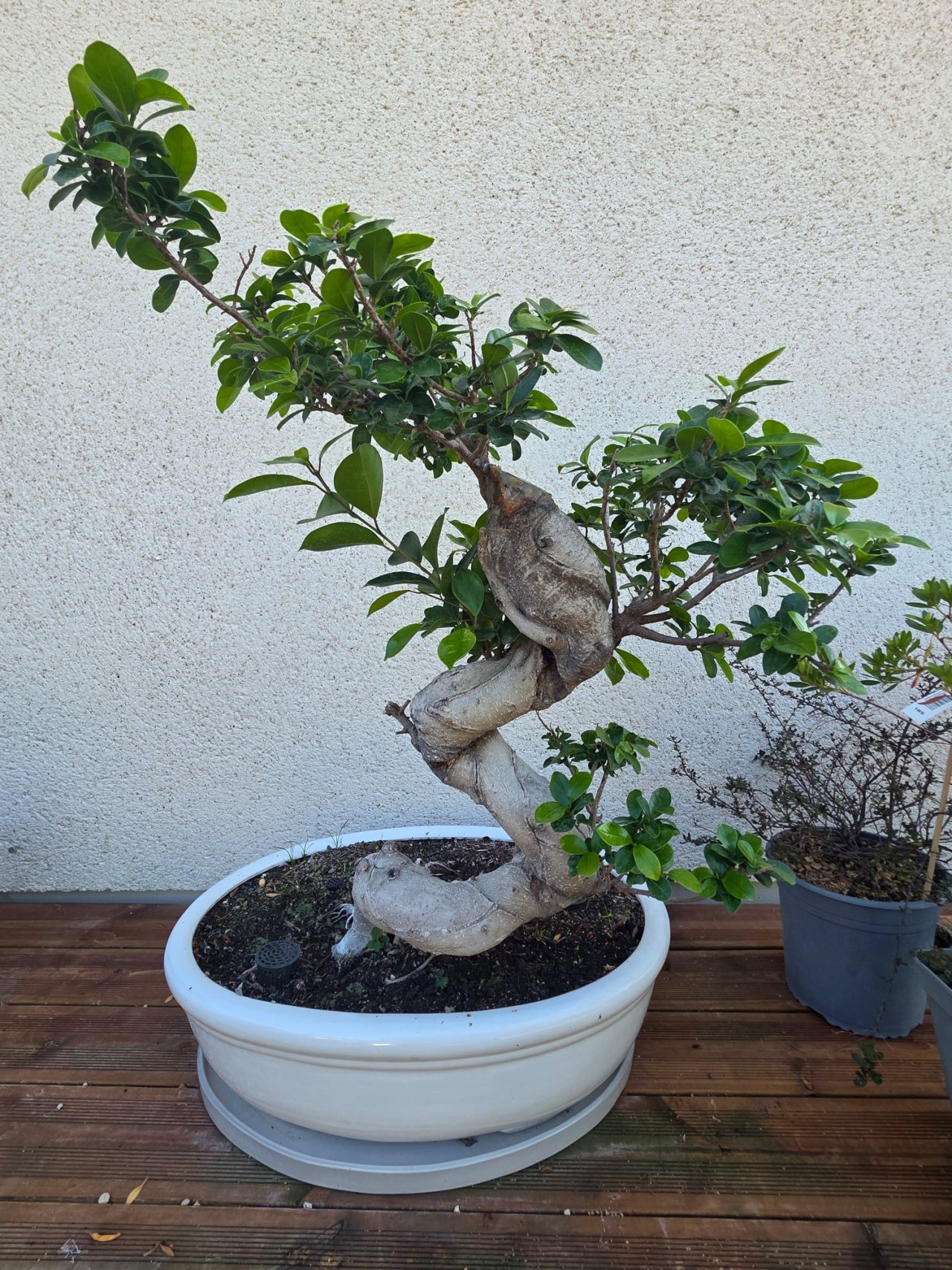 Photo 4