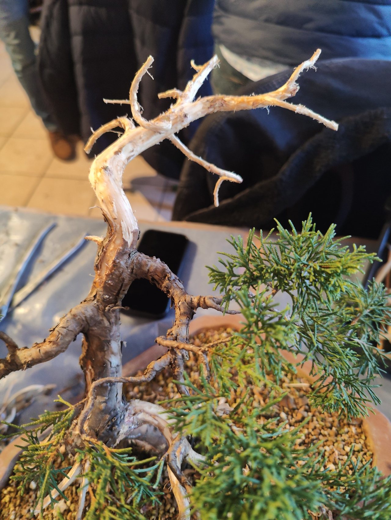 Photo 18