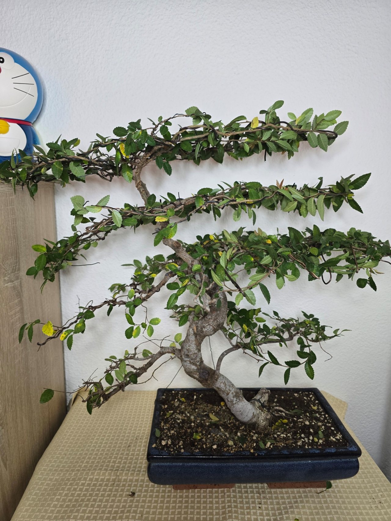 Photo 14