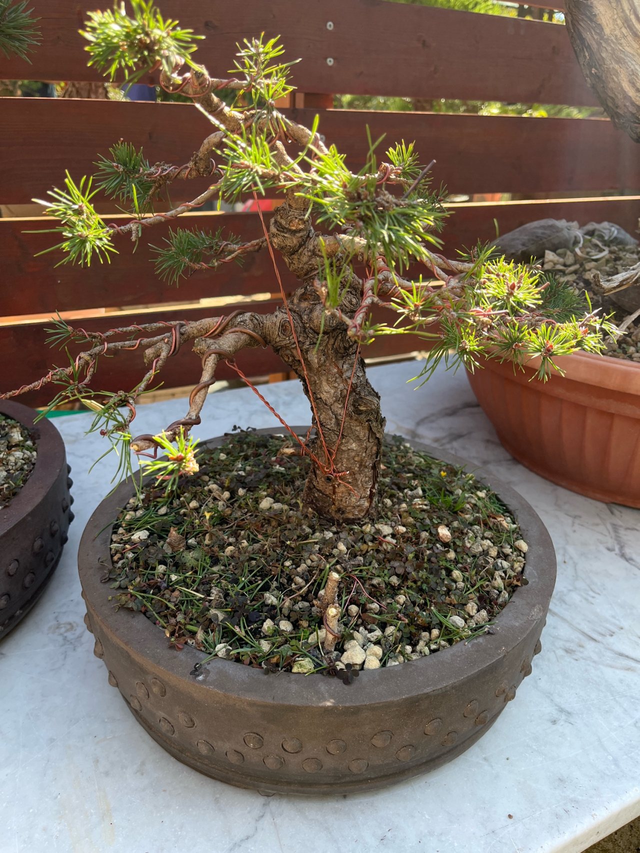 Photo 20