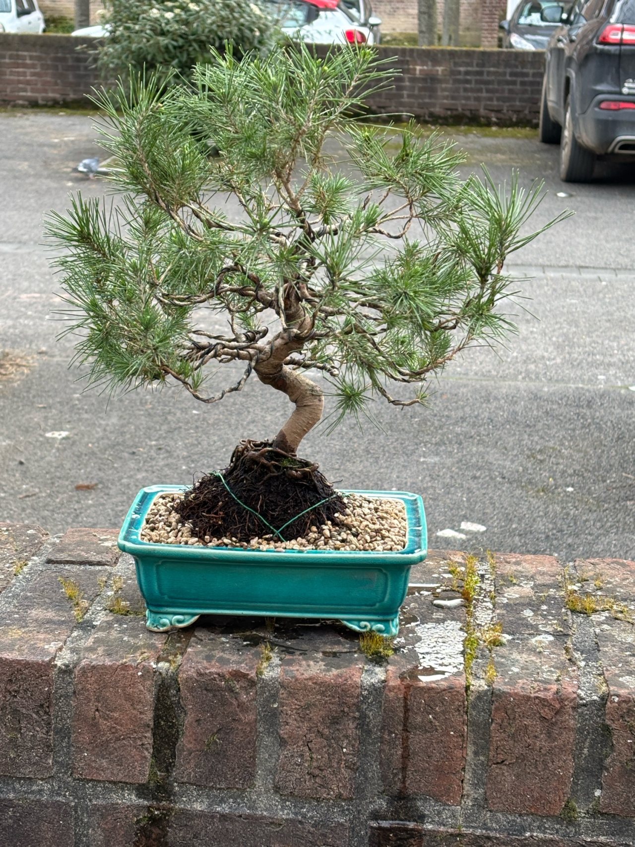 Photo 5