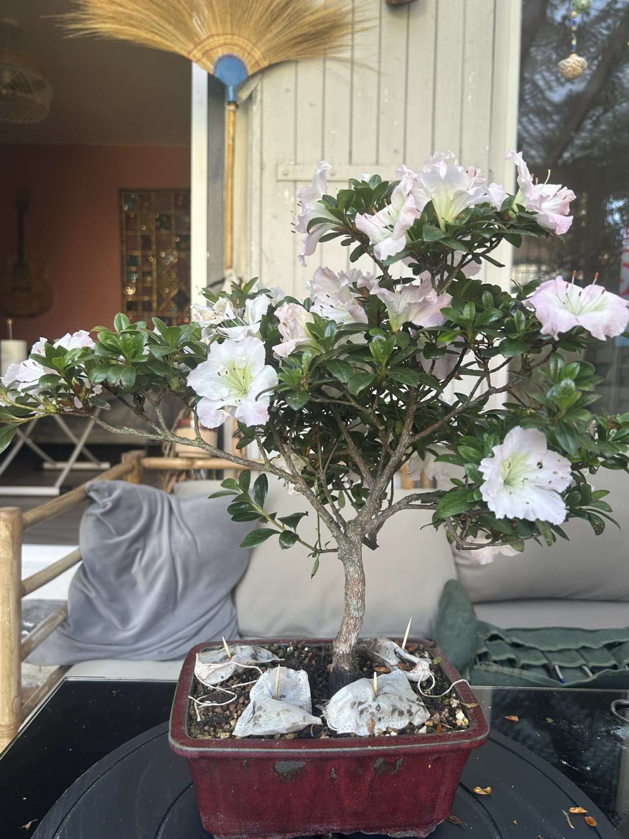 Photo 19