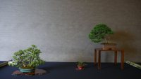 Ausstellung - 29.05.22 - Photo 1/2