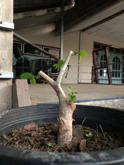 ข่อยฝึกหัด 1