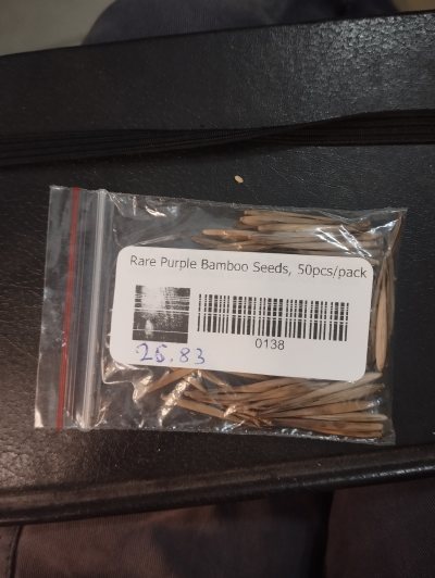 Листоколосник опушенный, или Филлостахис опушенный фиолетовый (Phyllostachys edulis) семена