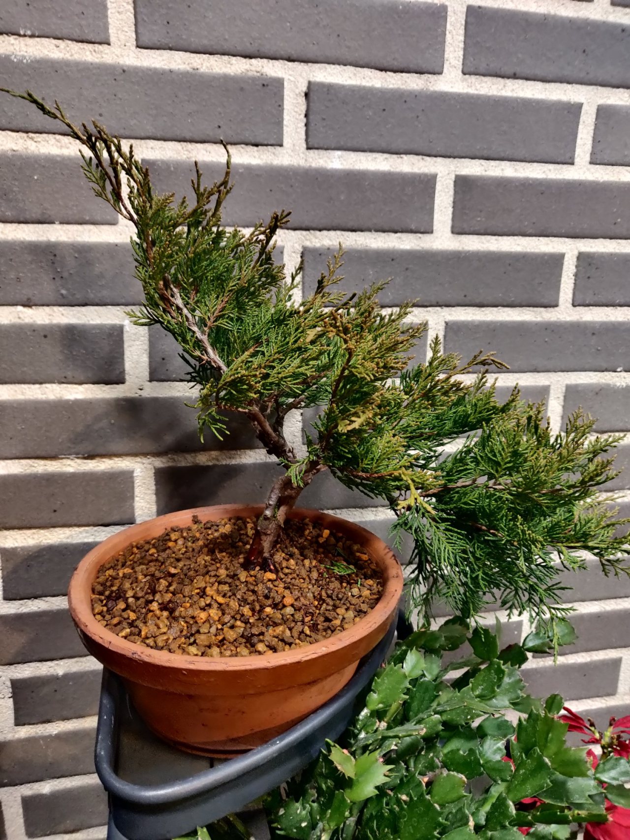 Photo 28