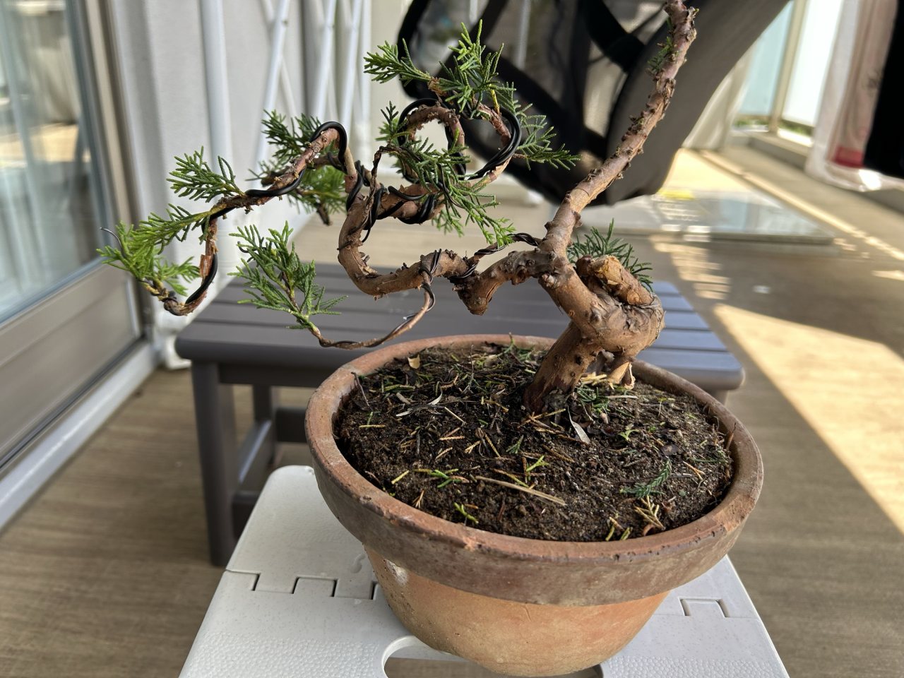 Photo 21