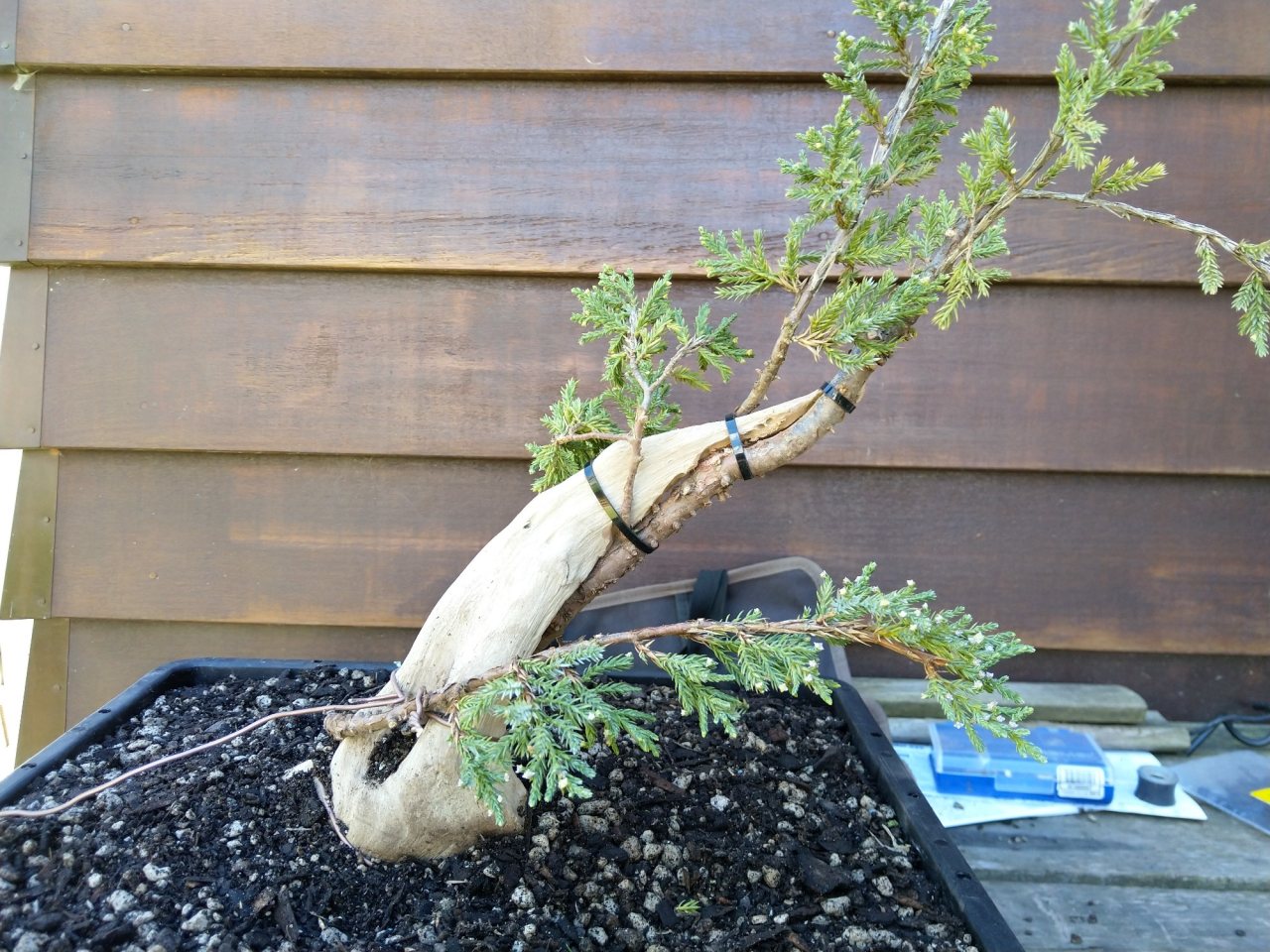 Photo 3
