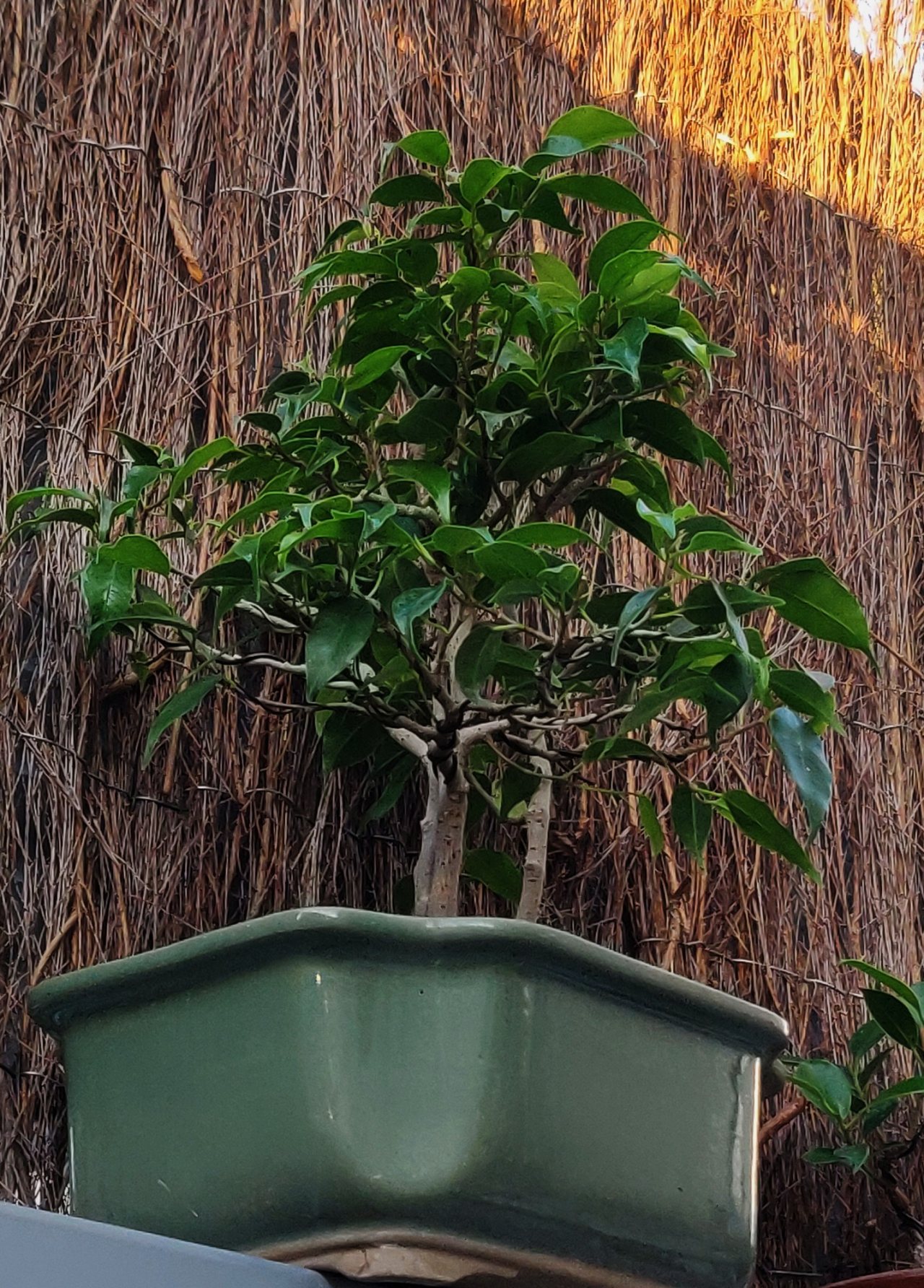 Photo 17