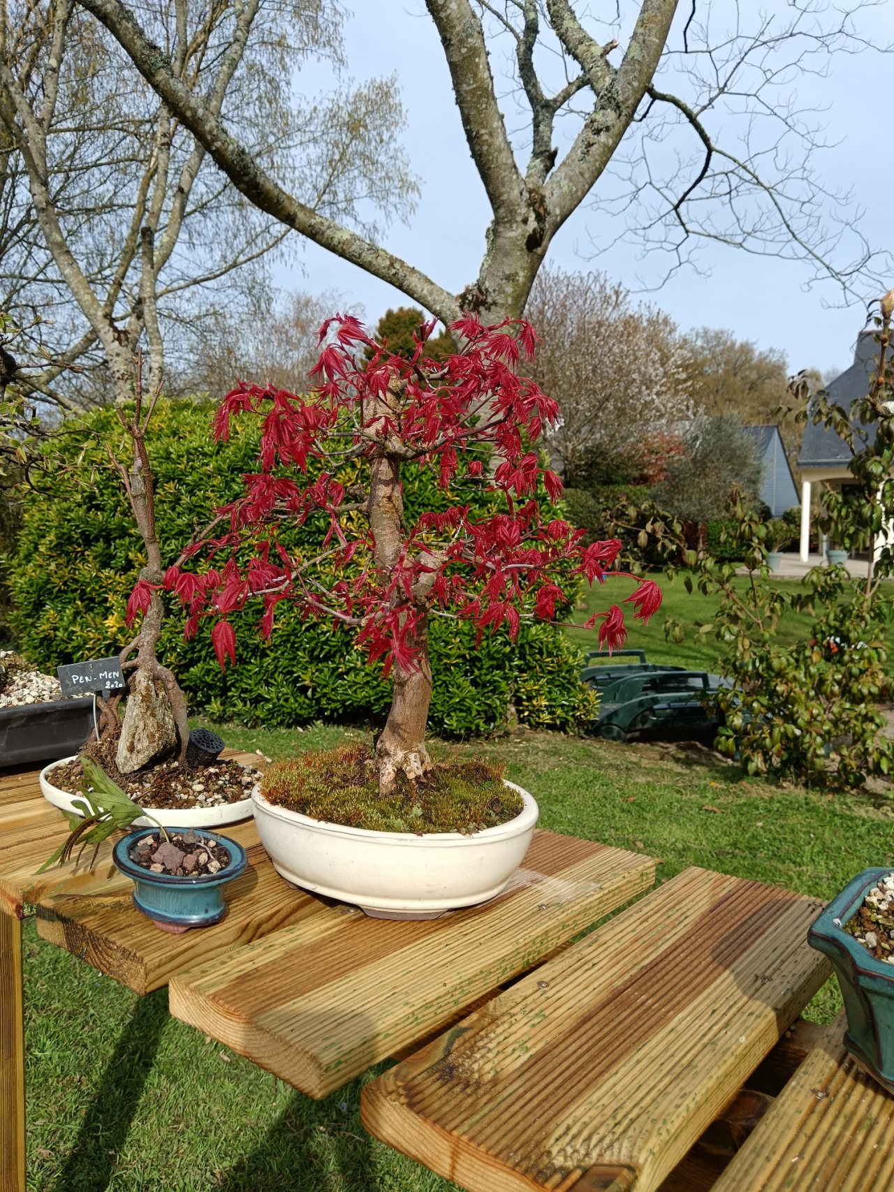 Photo 3