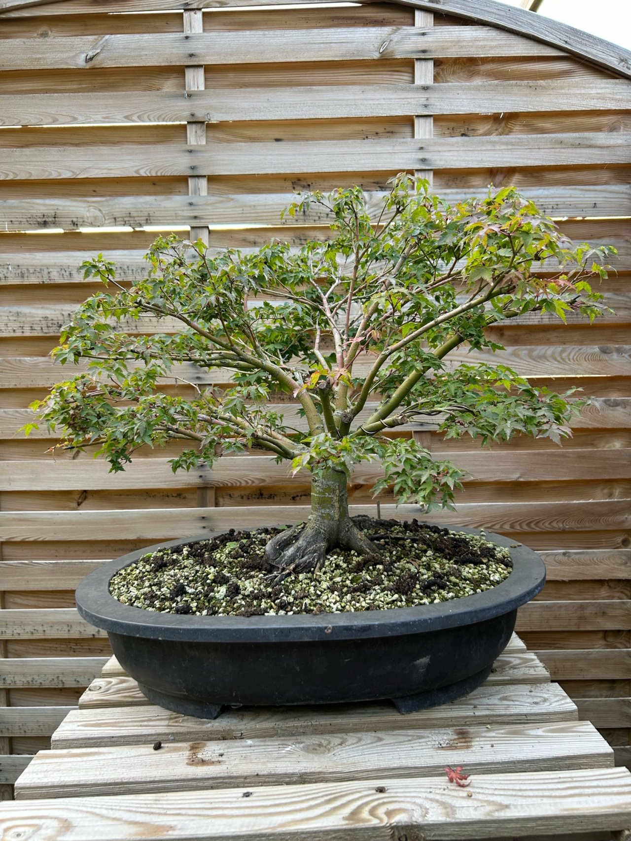 Photo 29
