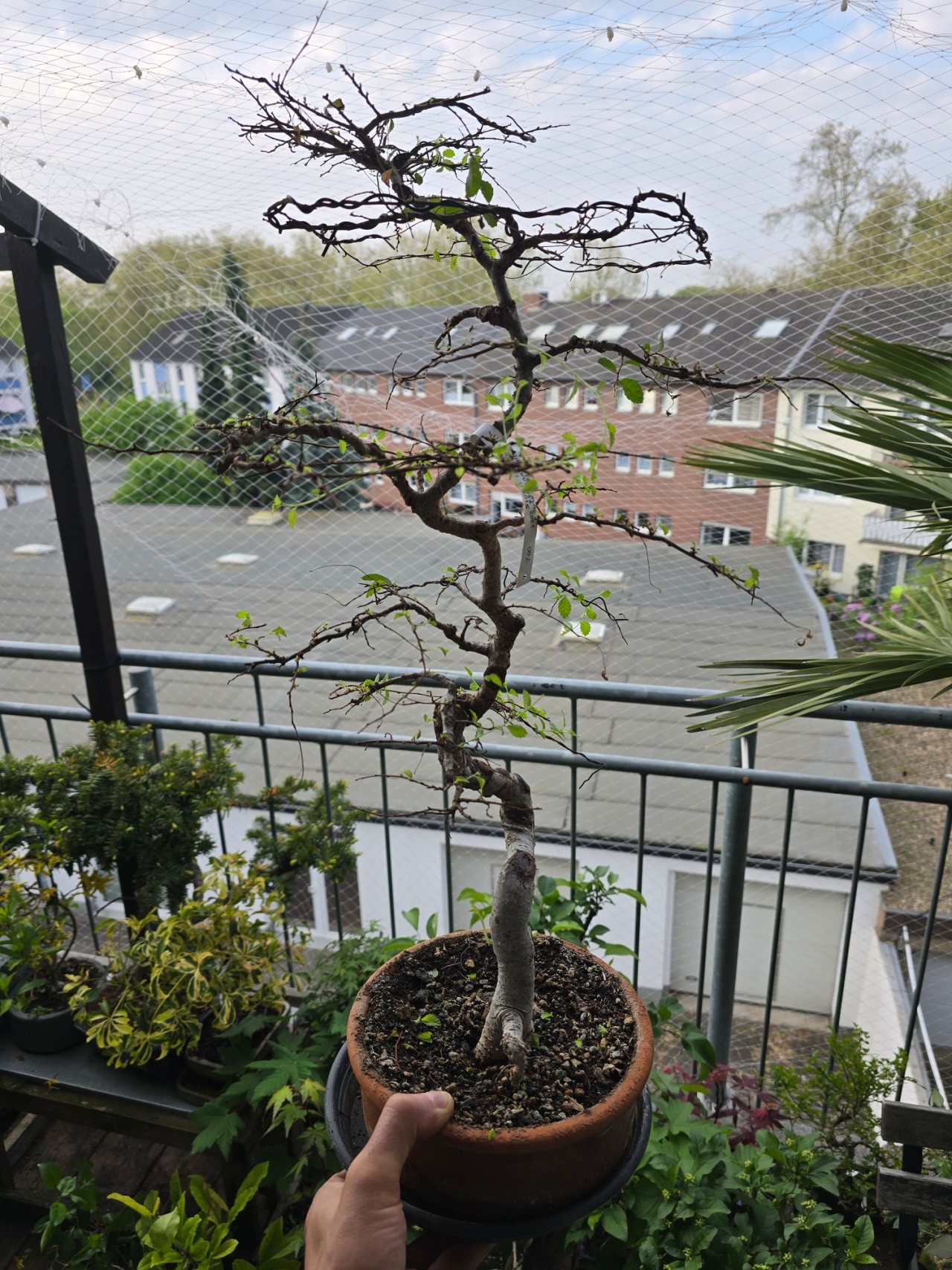 Photo 20
