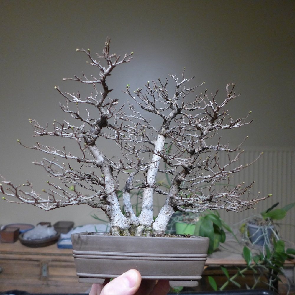 Photo 16