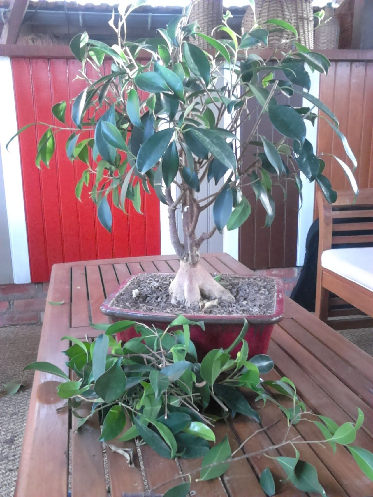 Photo 2