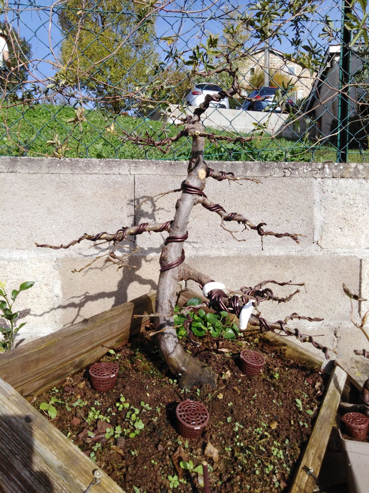 Photo 4