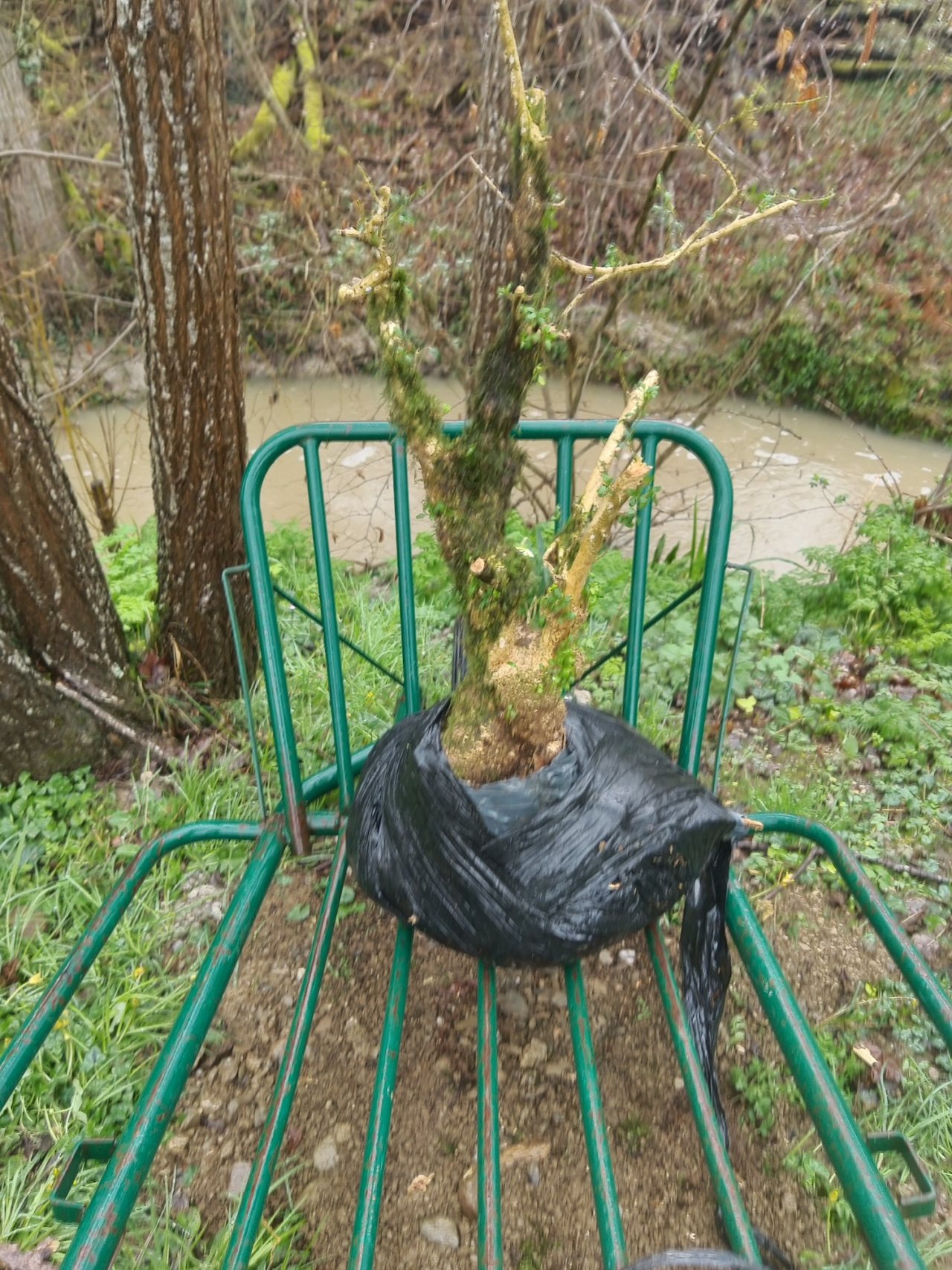 Photo 4