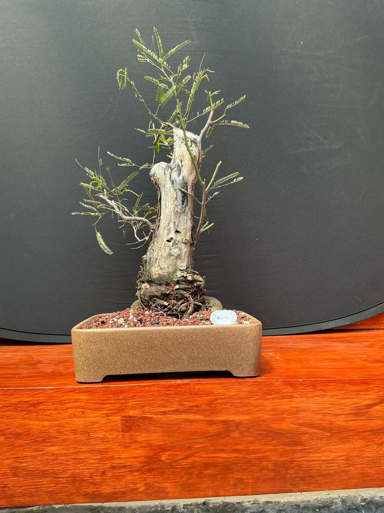Photo 6