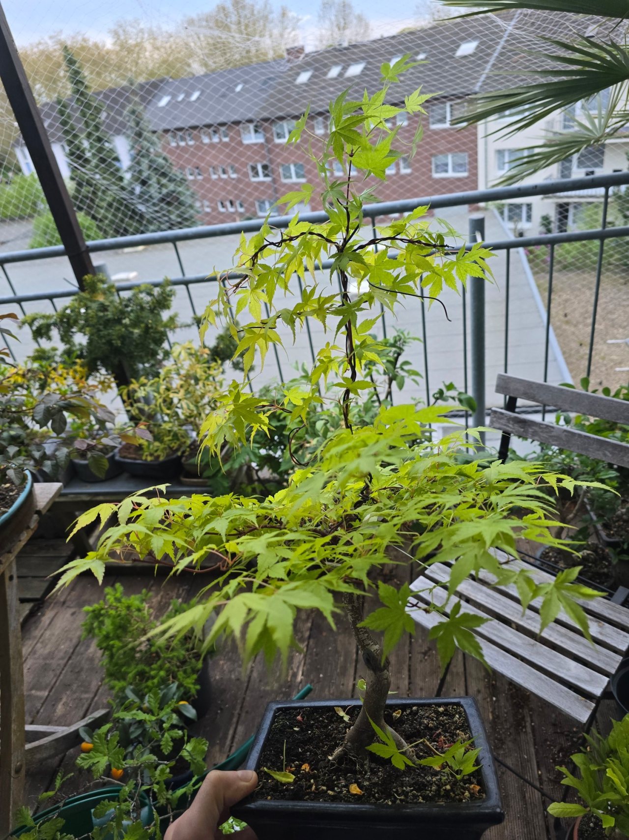Photo 25