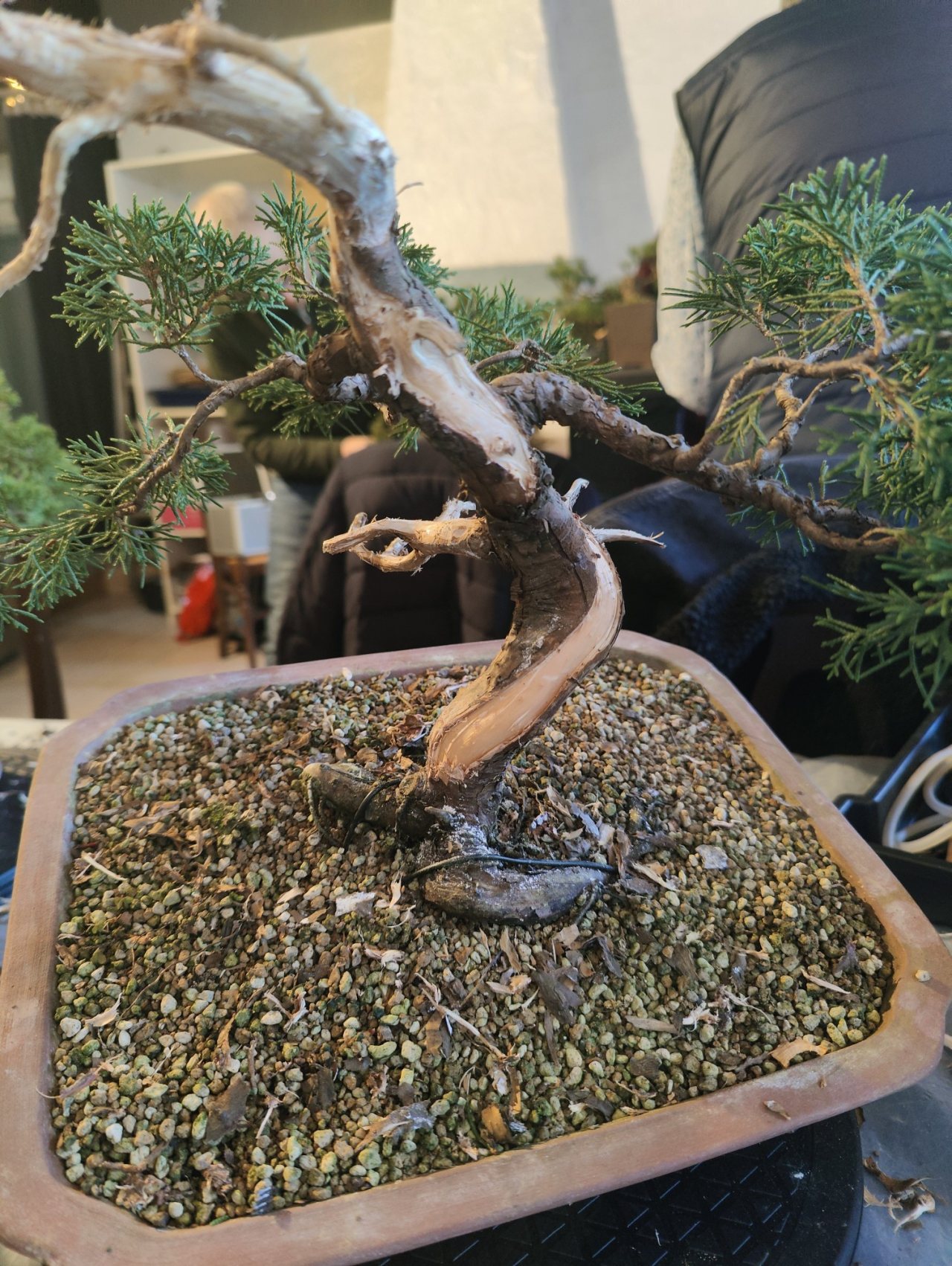 Photo 17