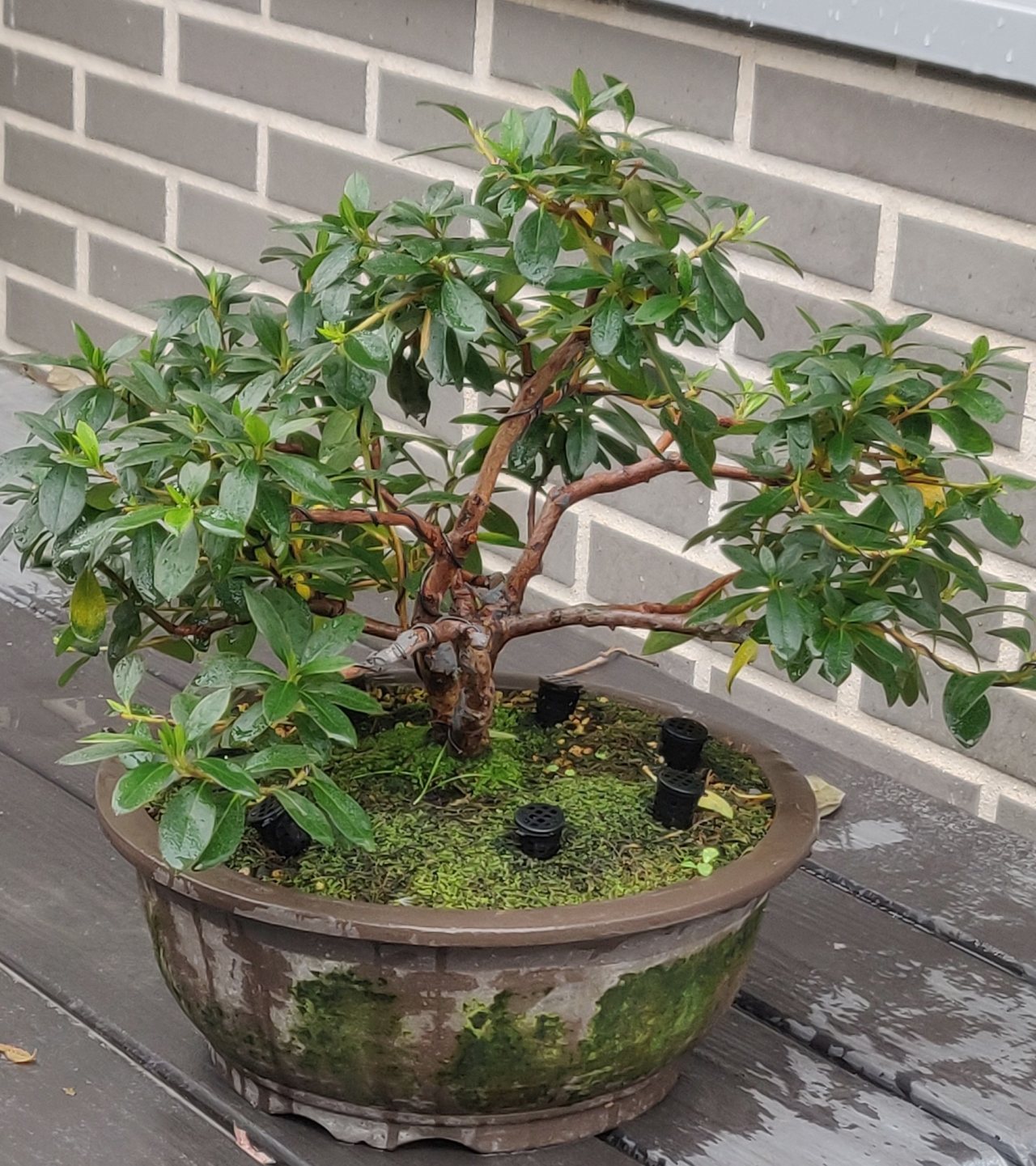 Photo 13
