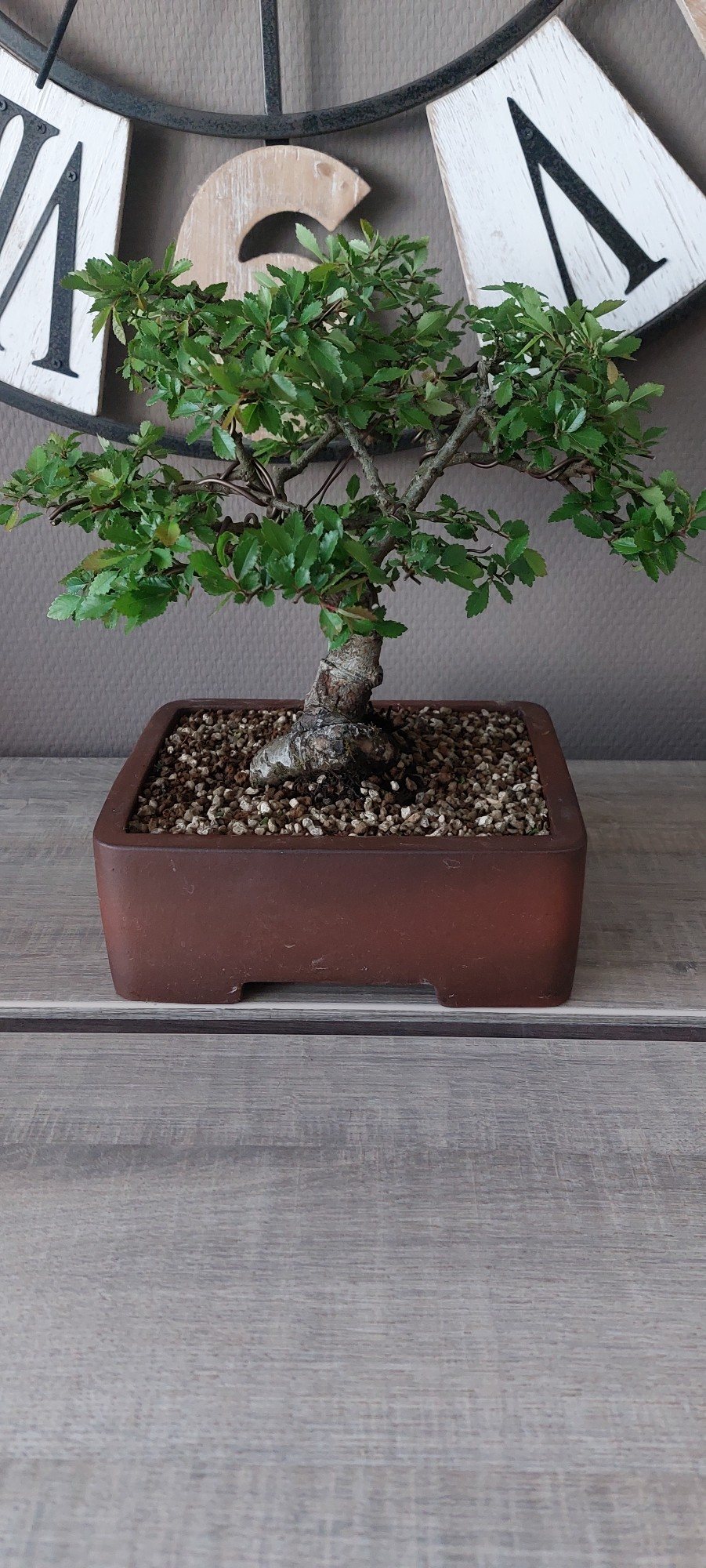 Photo 10