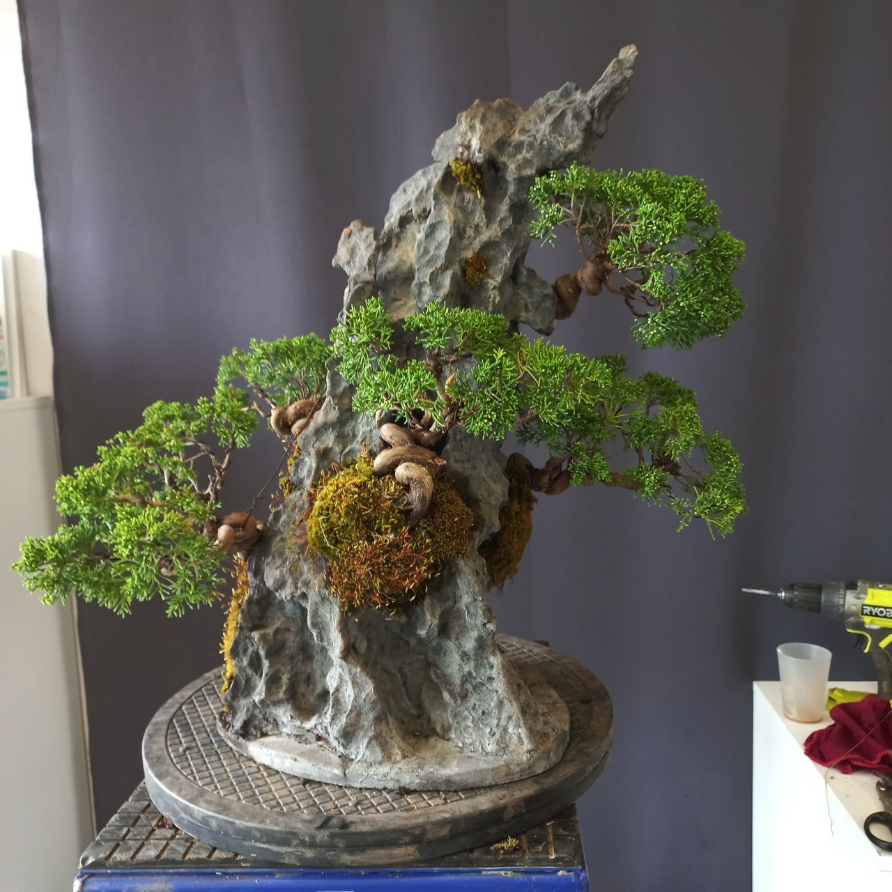 Photo 8