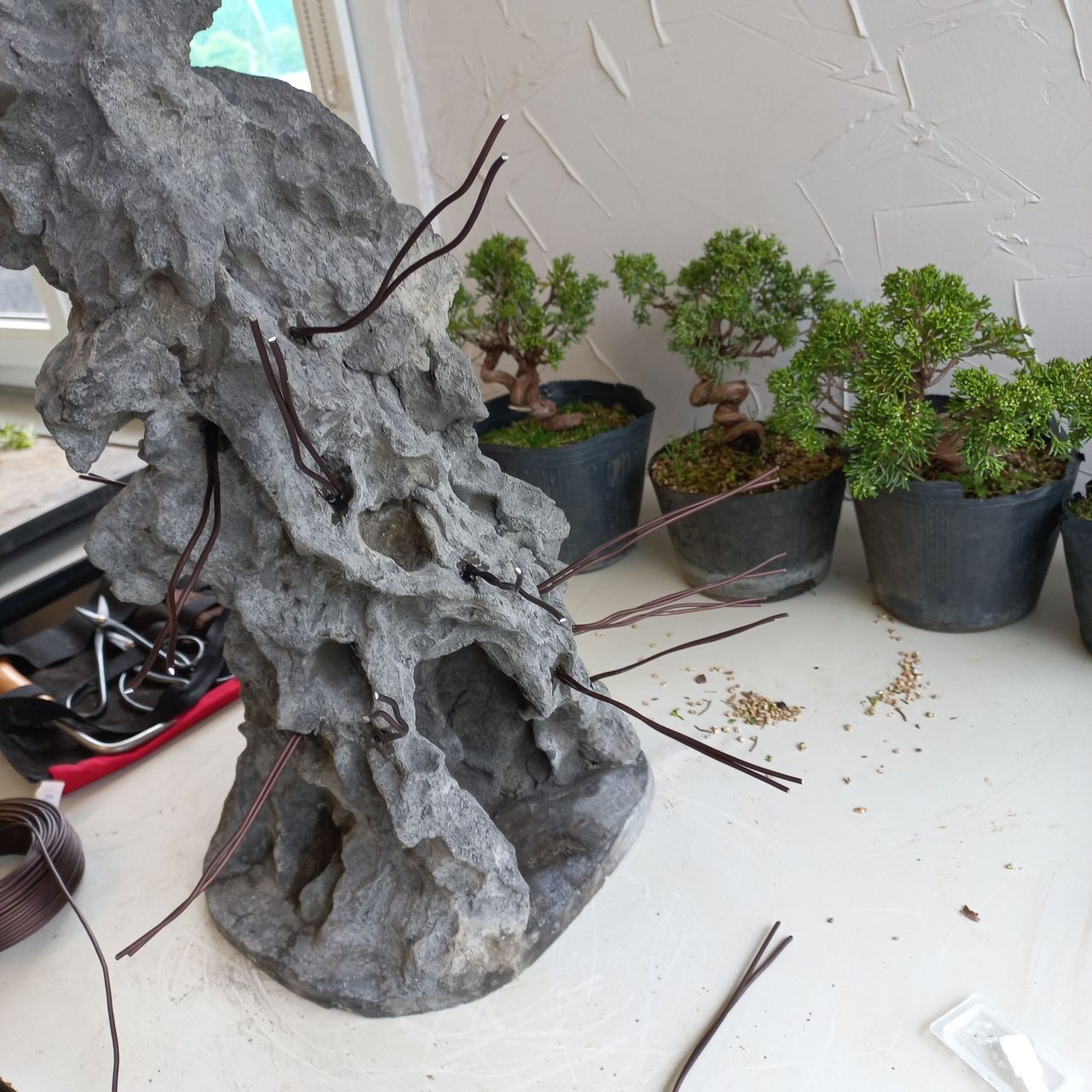 Photo 19