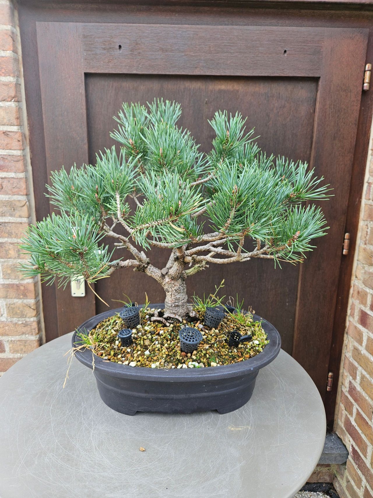 Photo 6