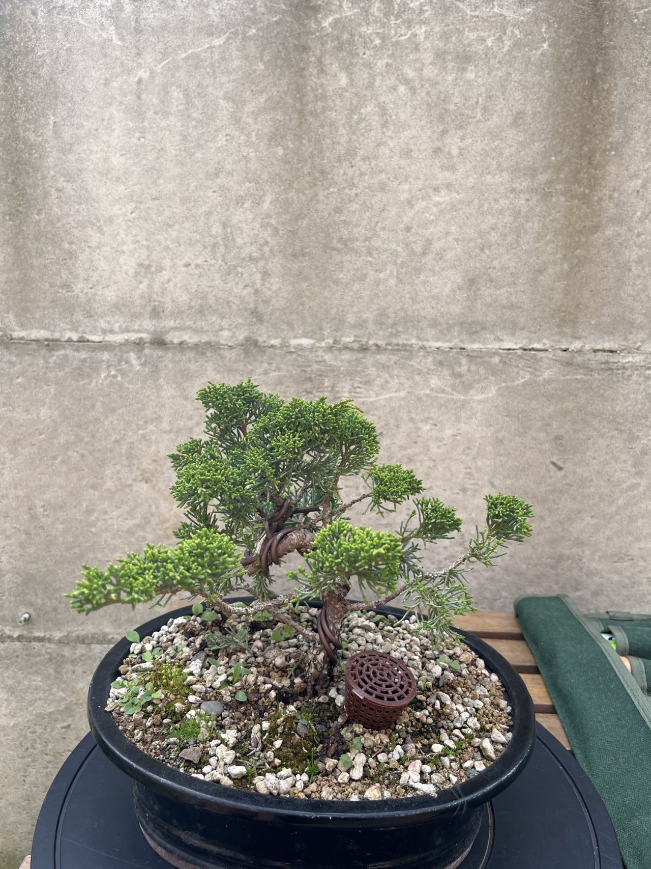 Photo 18