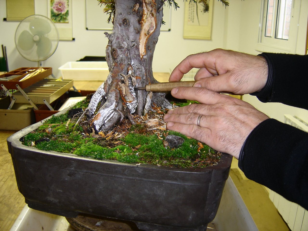Photo 19