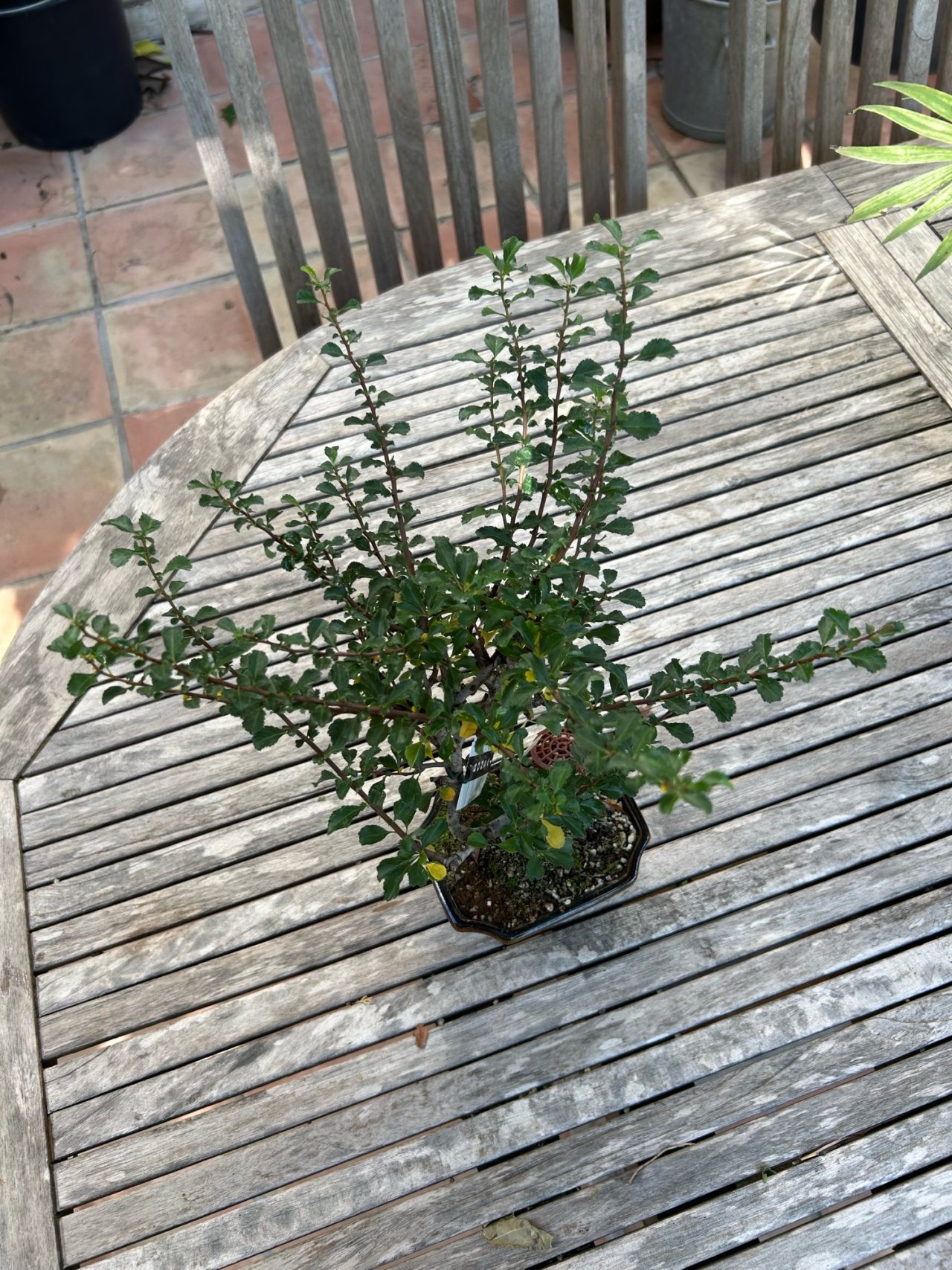 Photo 6