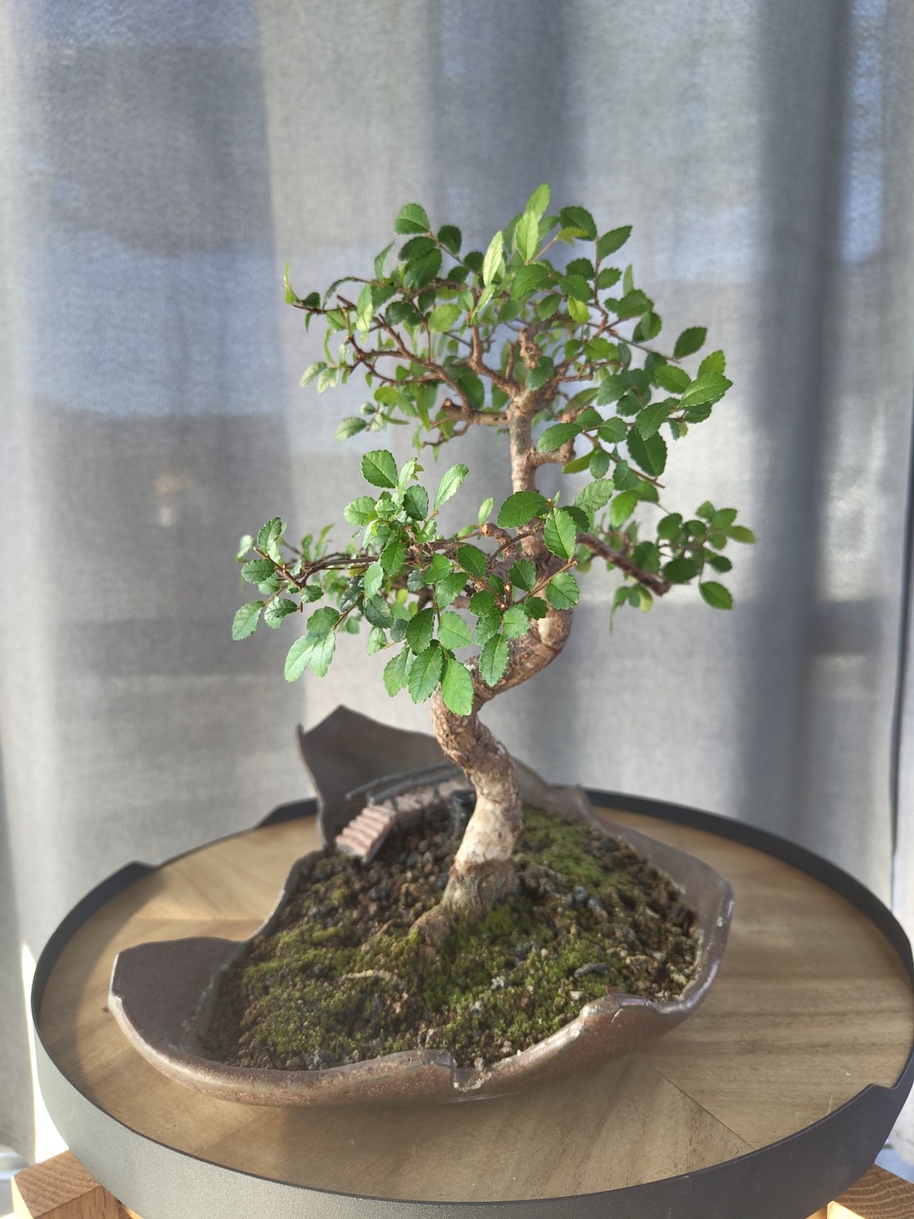 Photo 6