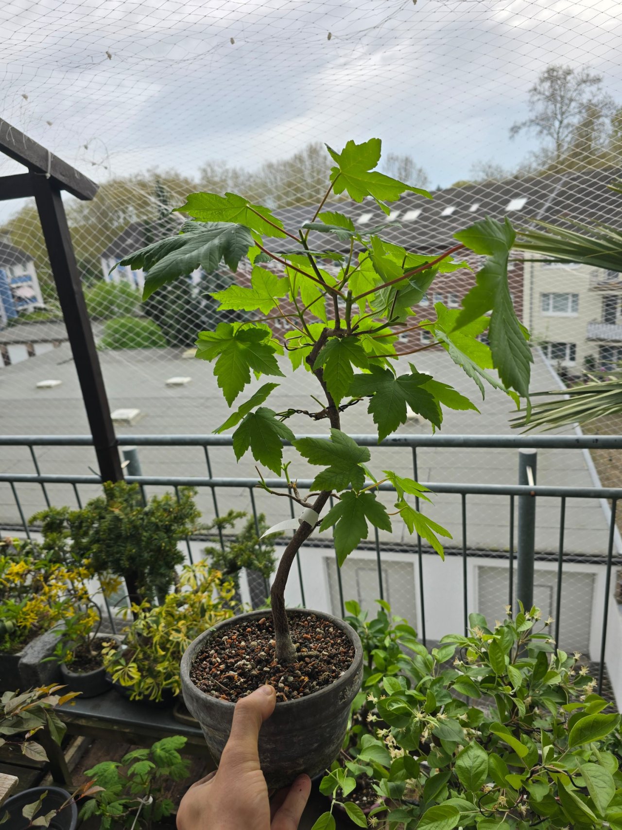 Photo 10