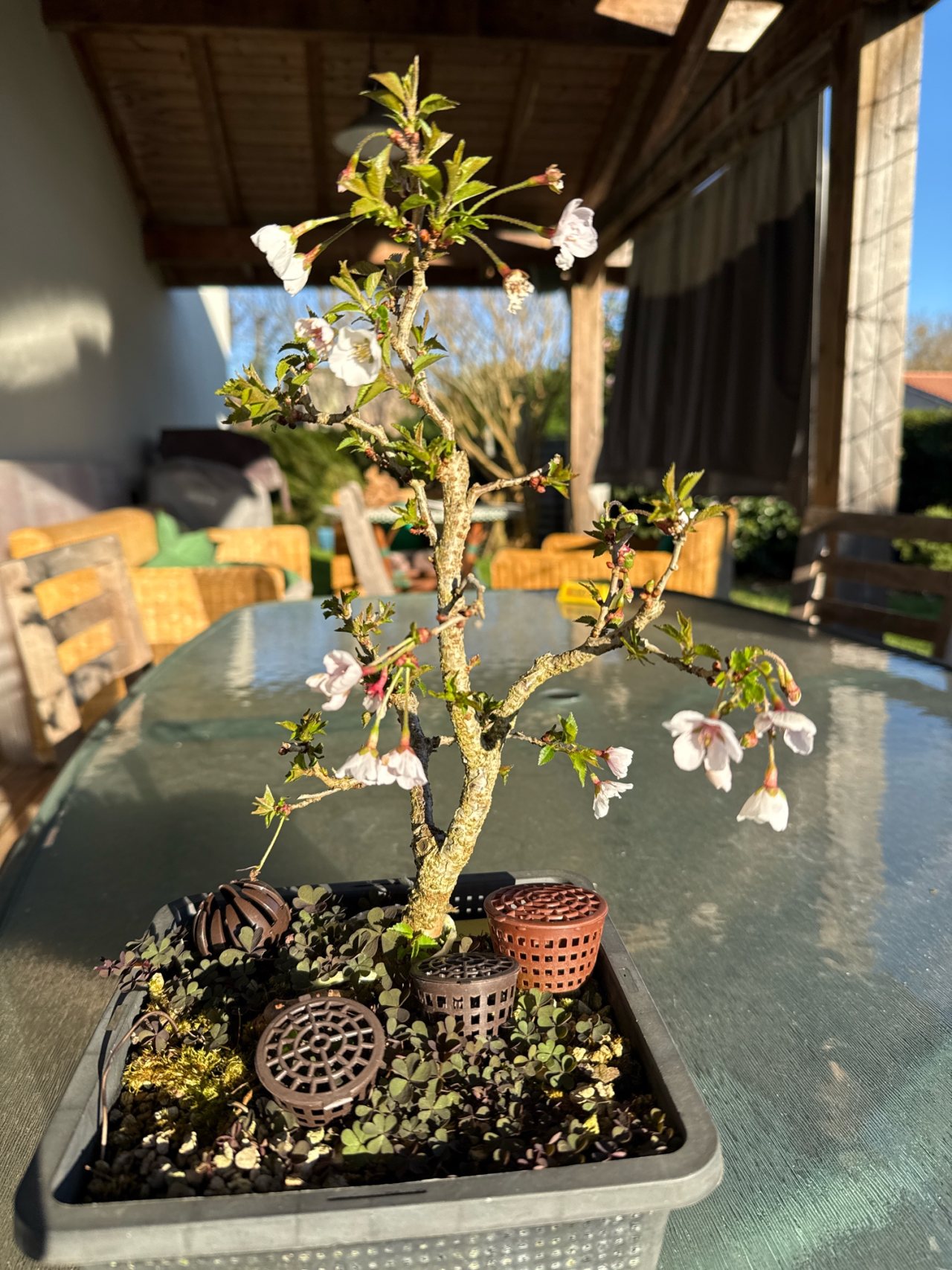Photo 19