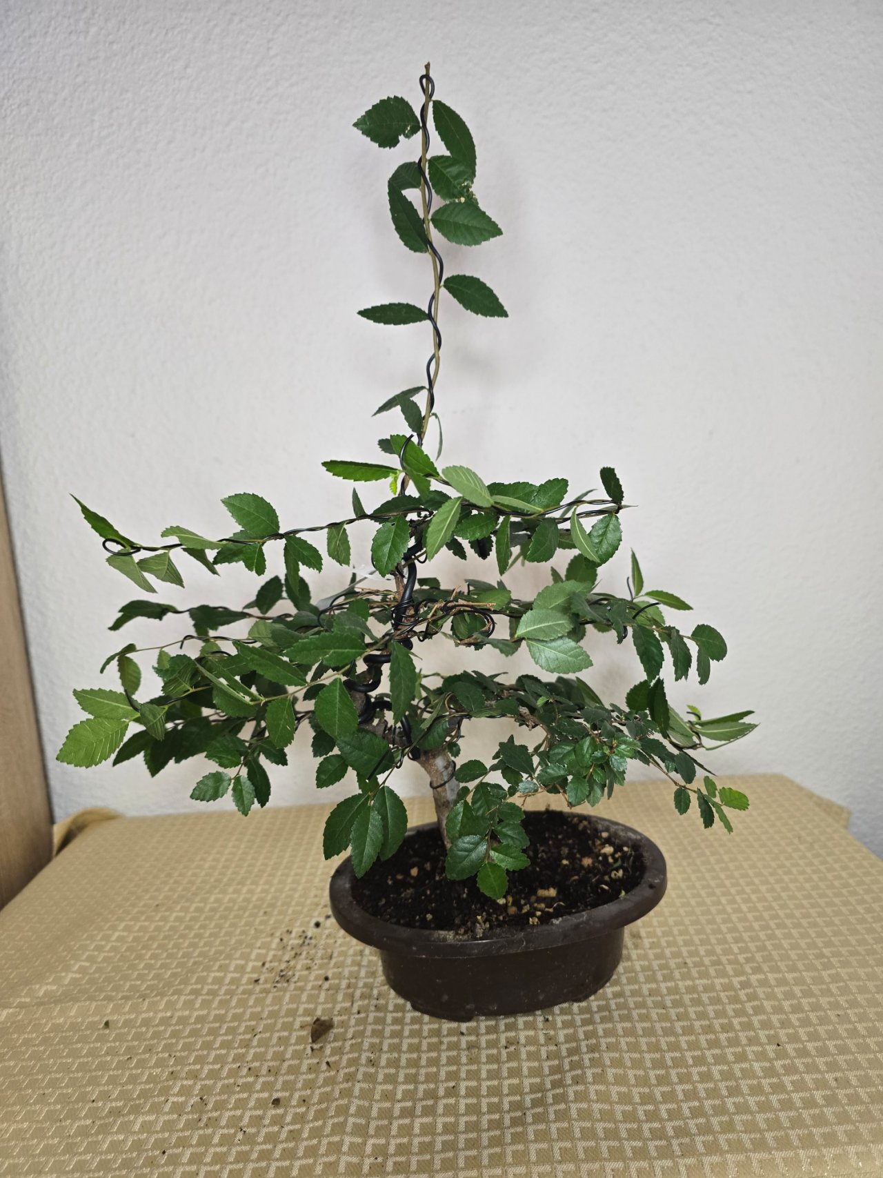 Photo 13