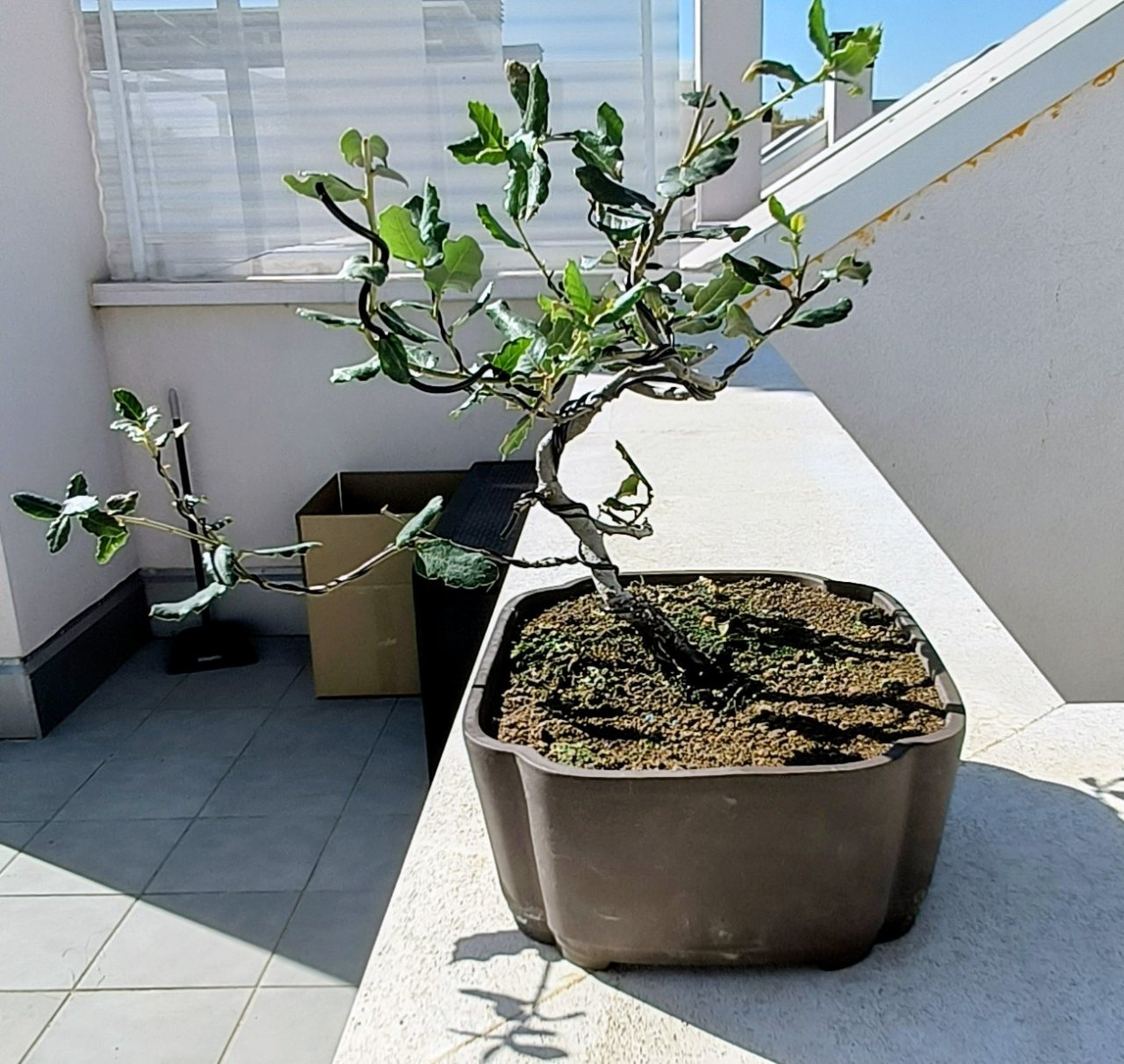 Photo 16