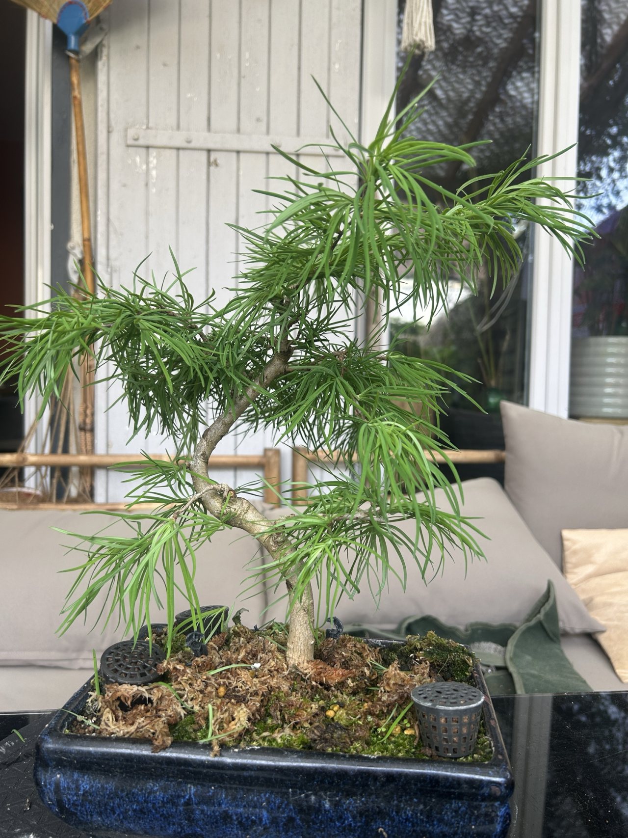 Photo 18
