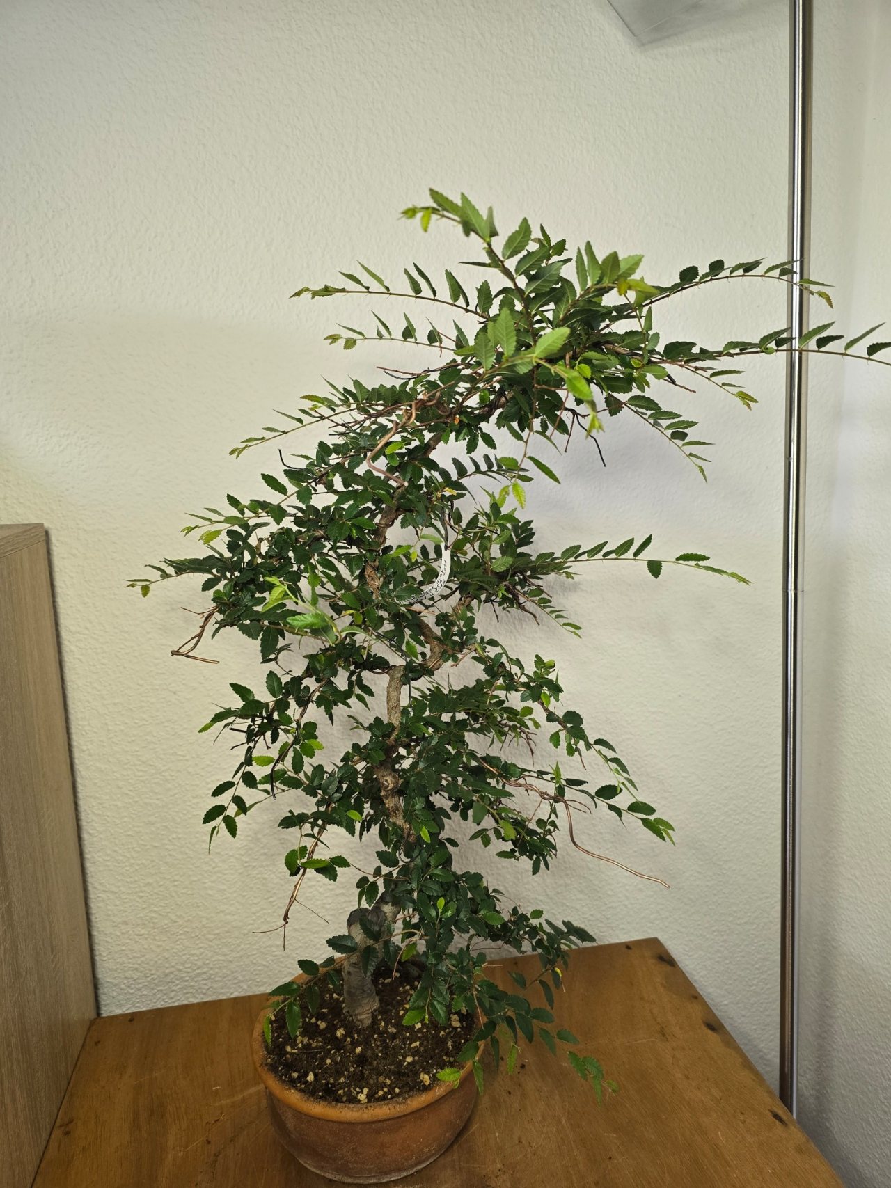 Photo 7