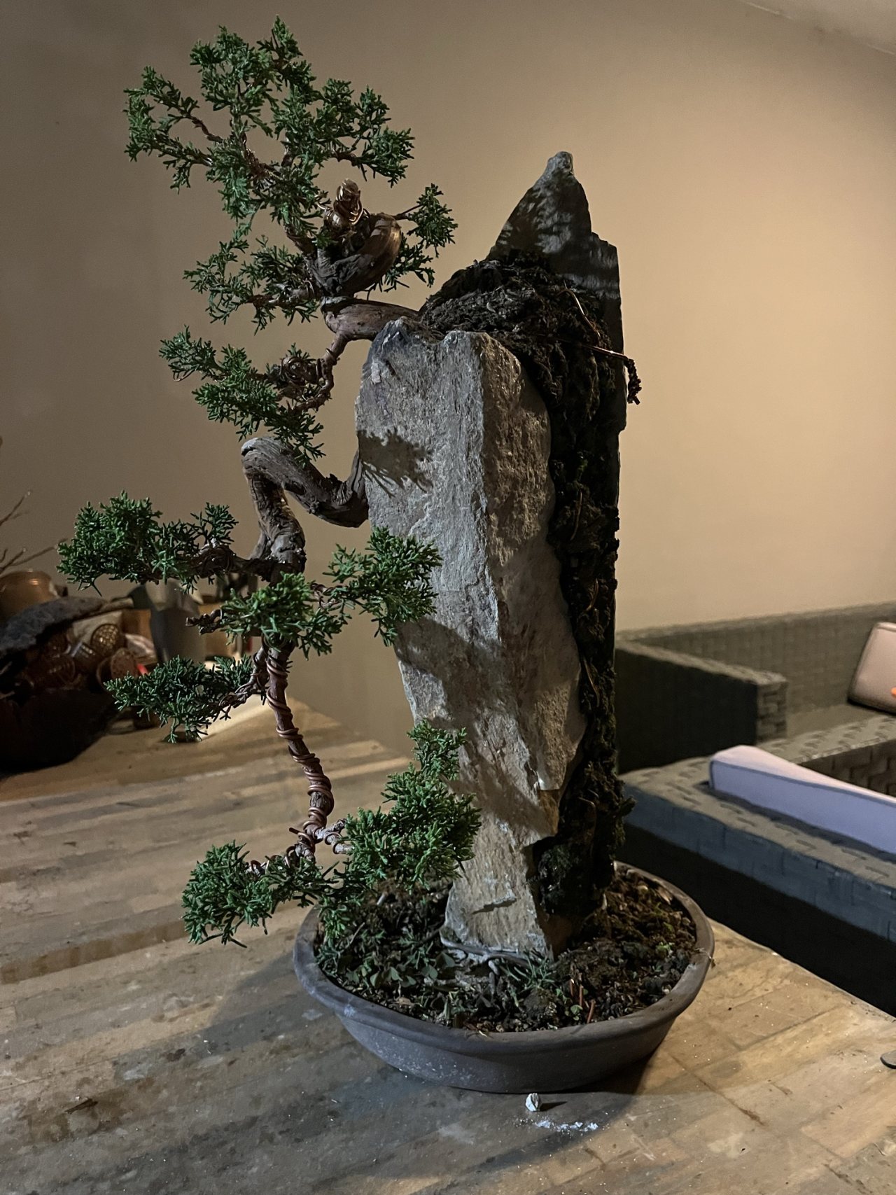 Photo 19