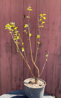 Umtopfen - 10.04.22 - Photo 1/1